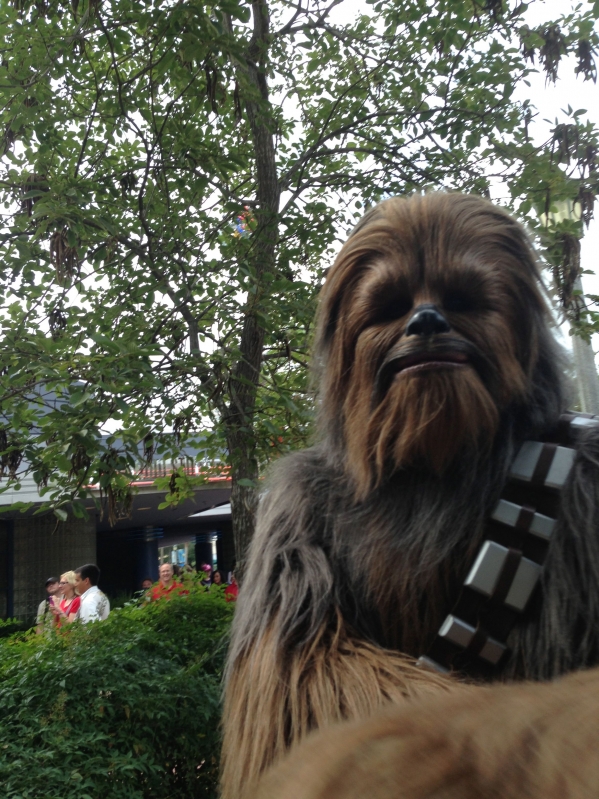 Star Wars Weekend