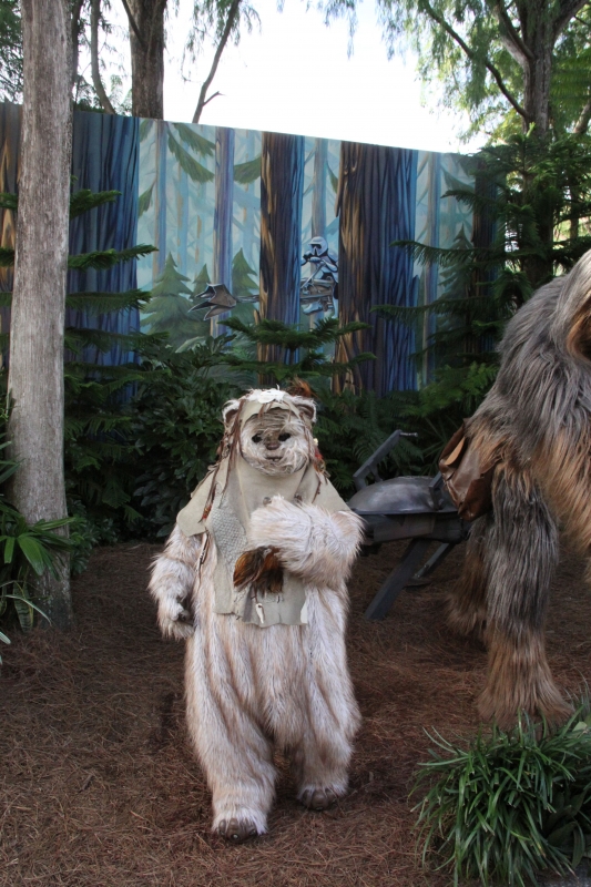 Star Wars Weekend