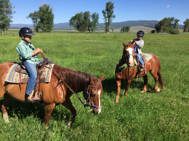 what to wear montana horses